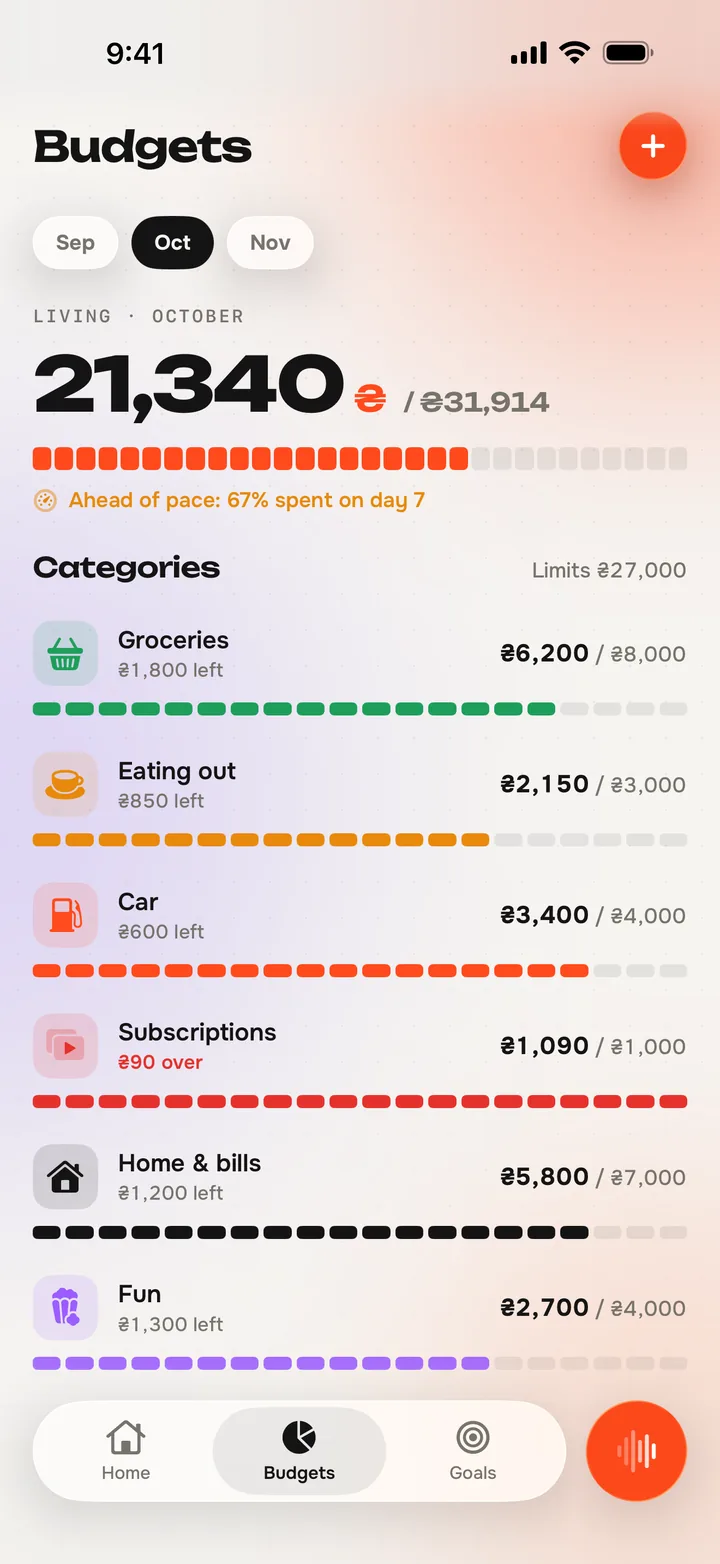 Tenfold budgets: monthly limits per category with progress bars and what is left.